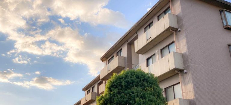 香椎の魅力再発見地域活性化の未来 香椎の魅力再発見地域活性化の未来